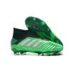 adidas Predator 19+ FG Zapatos - Verde Plata_1.jpg